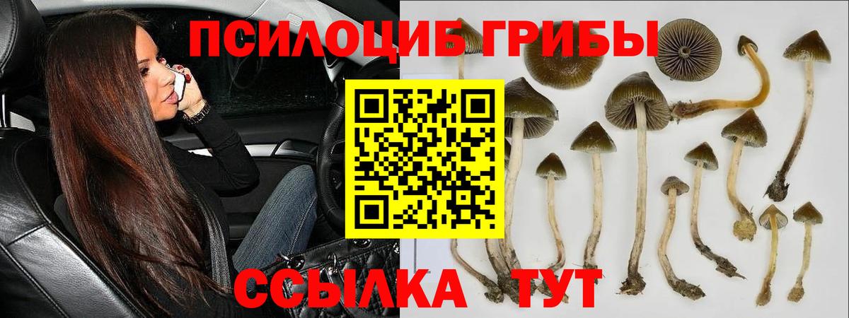 Галлюциногенные грибы GOLDEN TEACHER  Вход с VPN  Галлюциногенные грибы Magic Shrooms  Нефтекамск 