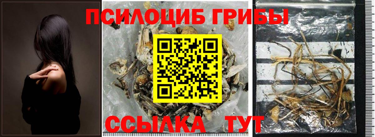 Галлюциногенные грибы прущие грибы Нефтекамск