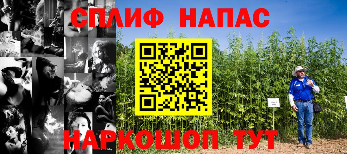 Бошки марихуана AK-47  Вход с VPN  Шишки марихуана ГИДРОПОН  Нефтекамск  Шишки марихуана White Widow 